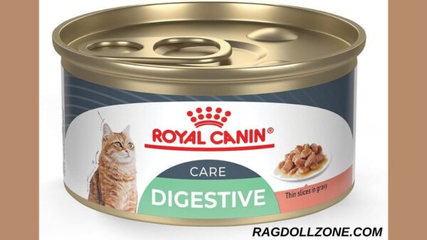 Royal Canin Feline Digestive Care Thin Slices in Gravy Wet food for cats