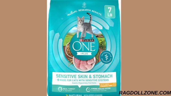 Purina ONE Sensitive Stomach & Skin Natural Dry Cat Food