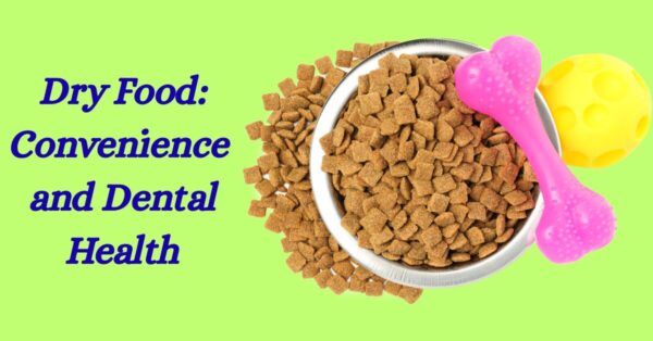 Dry Food: Convenience and Dental Health