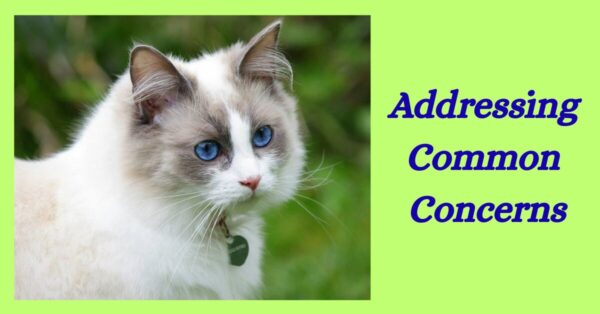 Addressing Common Concerns