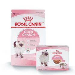 royal canin dry cat food 
