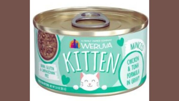 Weruva Wet Kitten Food With Chicken and Tuna.