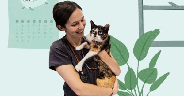Prepare for vet visits:
